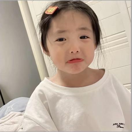 鲨鱼、
