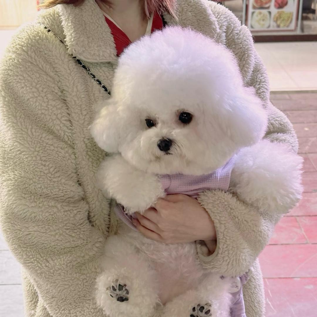 旺旺碎碎冰❄️