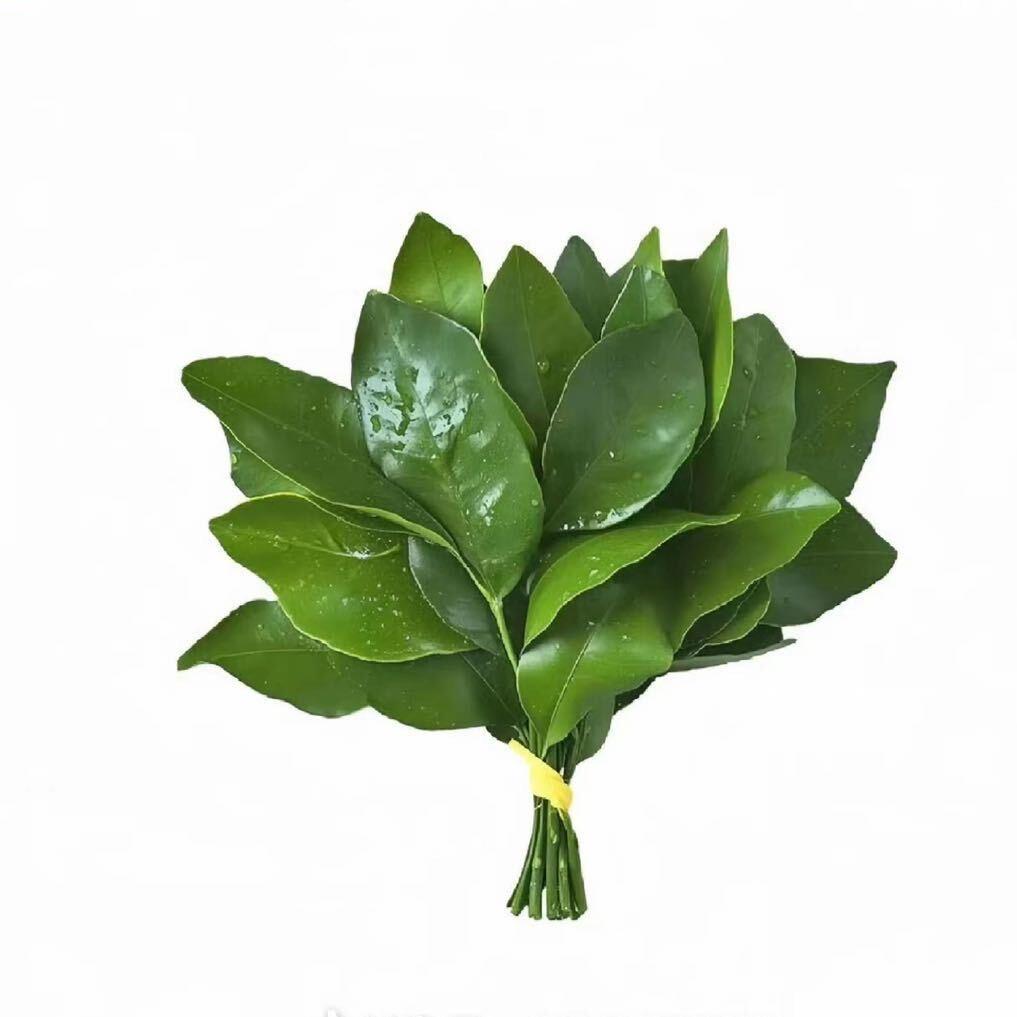 琪琪吖🧚‍♀️