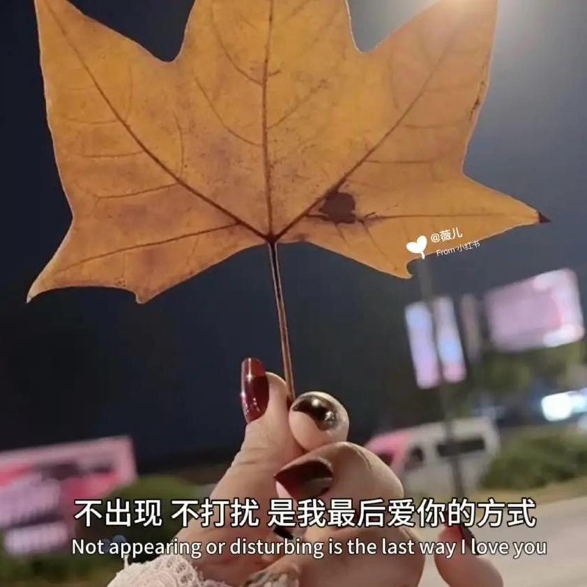 好运连连村花