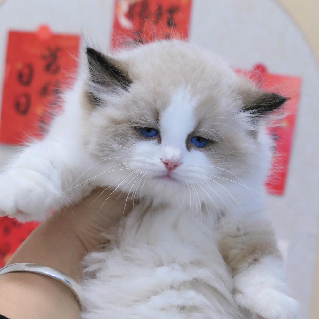 我爱吃火锅。