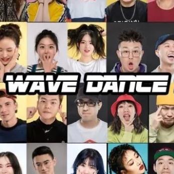 WAVE的后花园