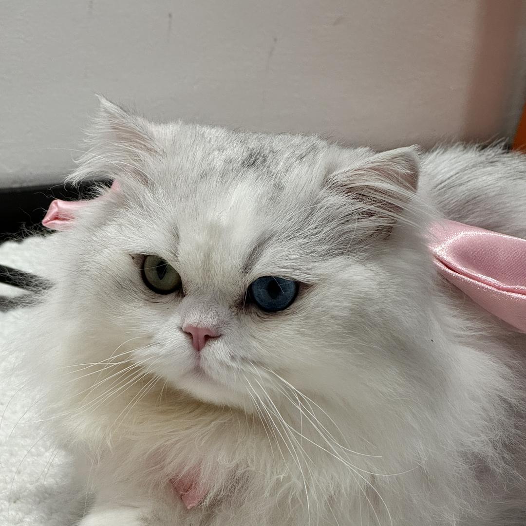 噜桃甄选服饰