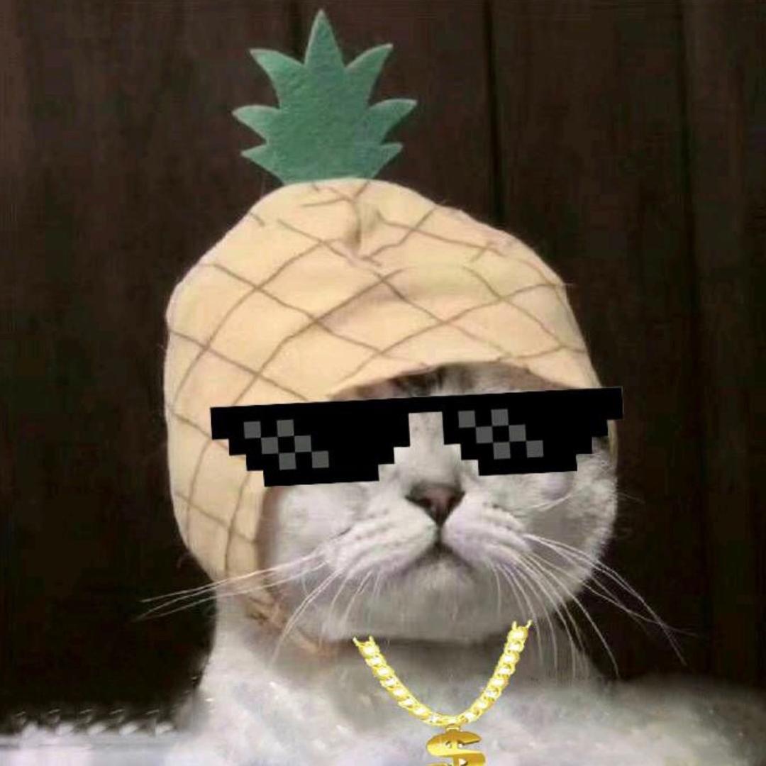 擒贼先擒 王先生.