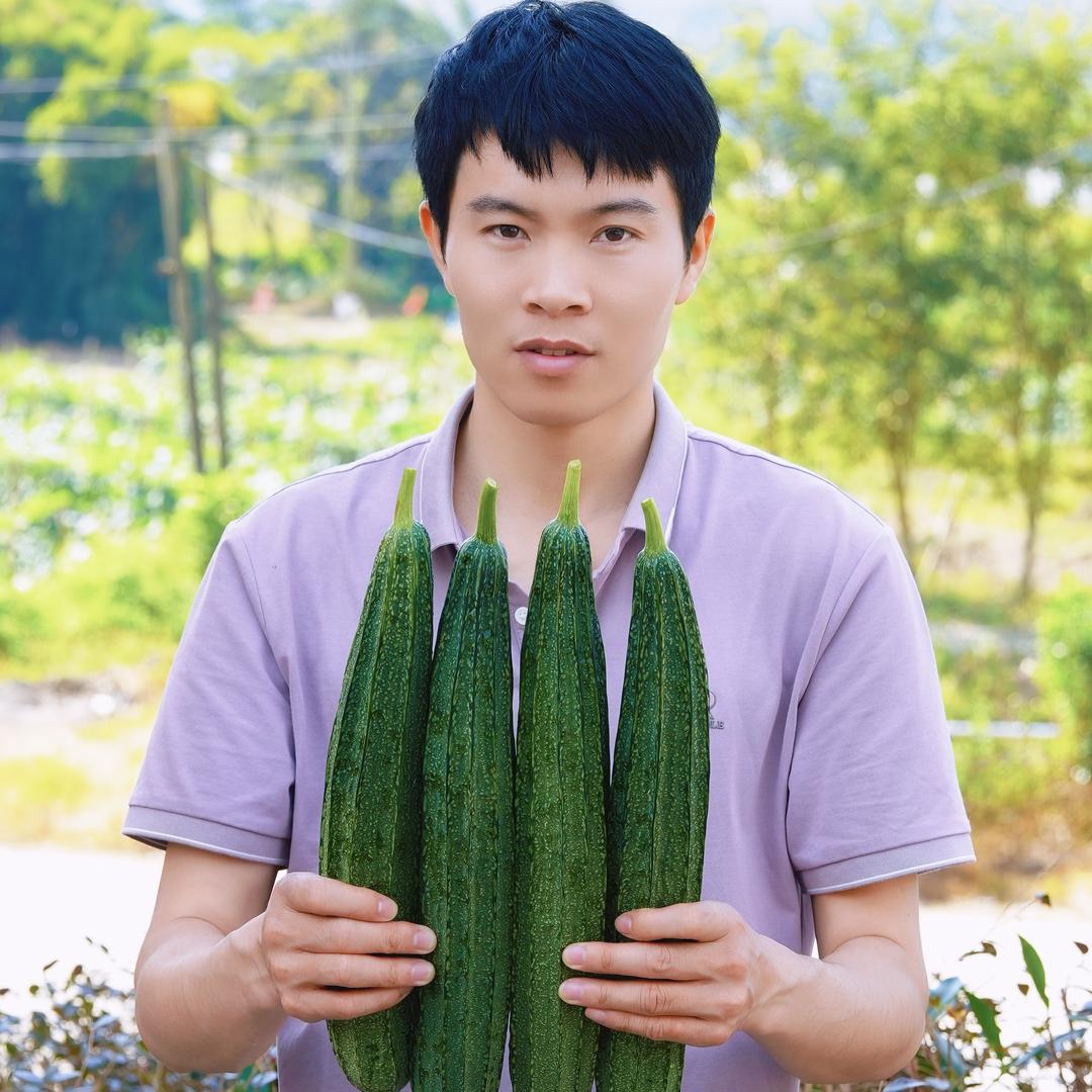 丝瓜种子工厂 小林