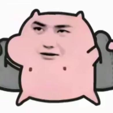 别碰我的齐刘海^