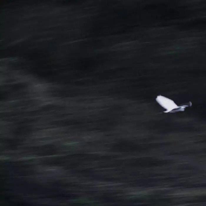 珩庭食品经营部