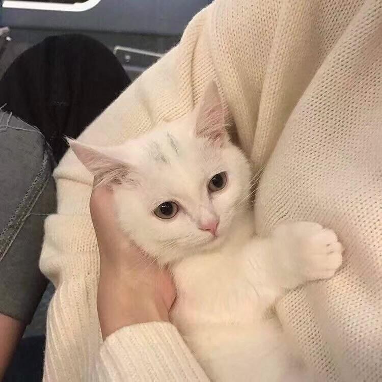言.