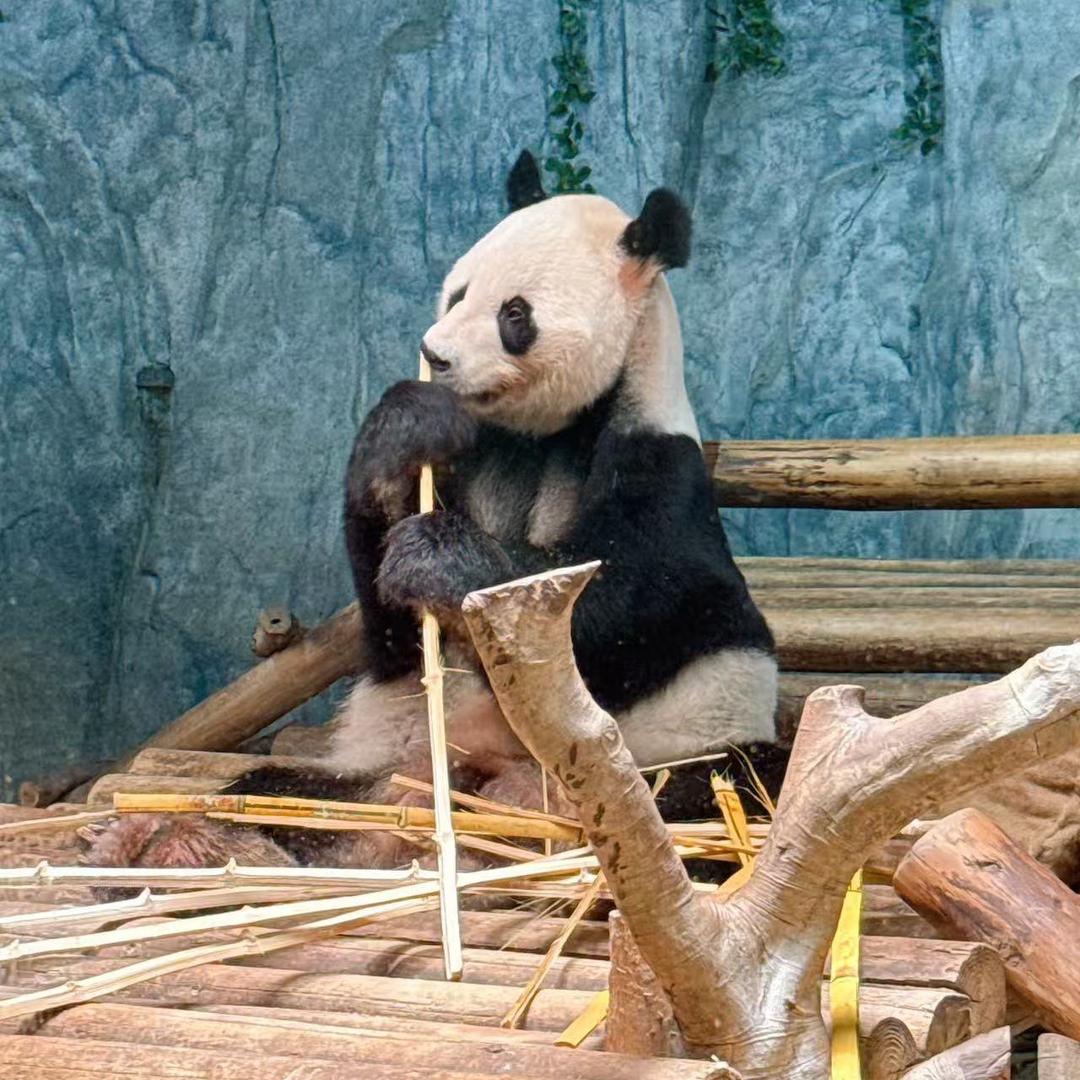 追风逐电