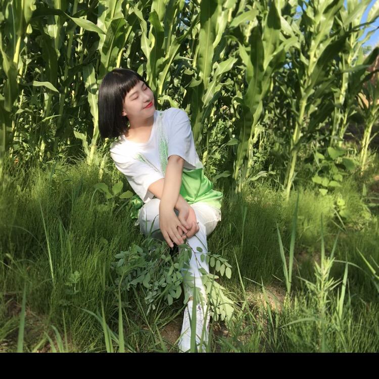 陇上巾泓（小号）