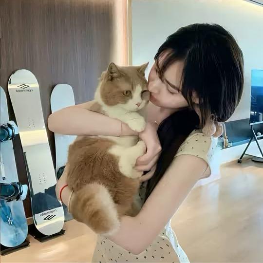 饱饱琪