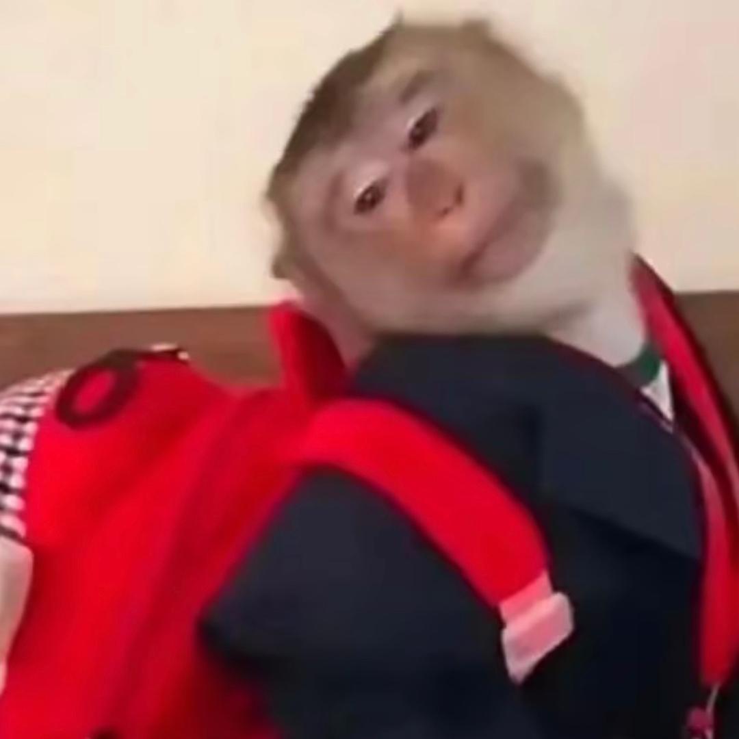思思呀～