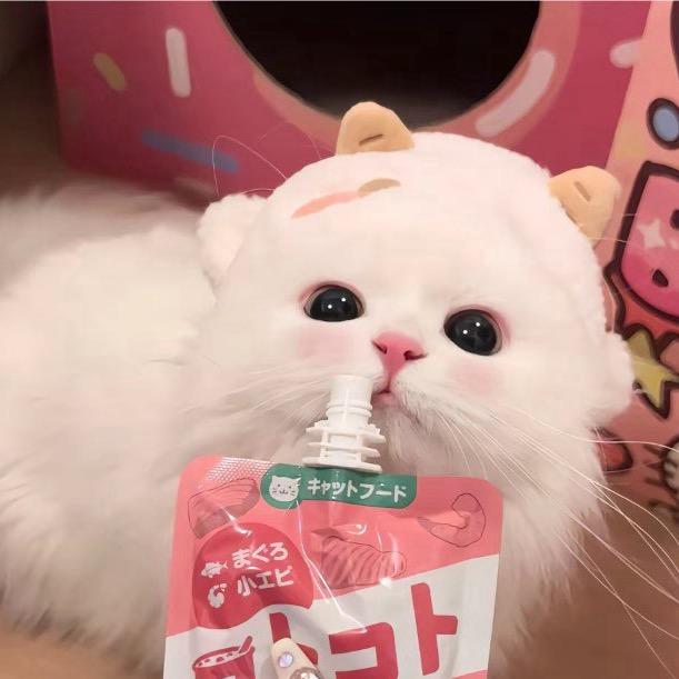 摆烂小鱼🐝（摆烂版）