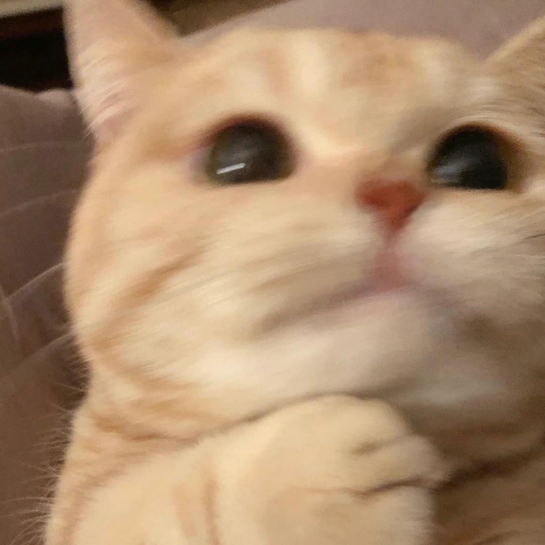 xxr