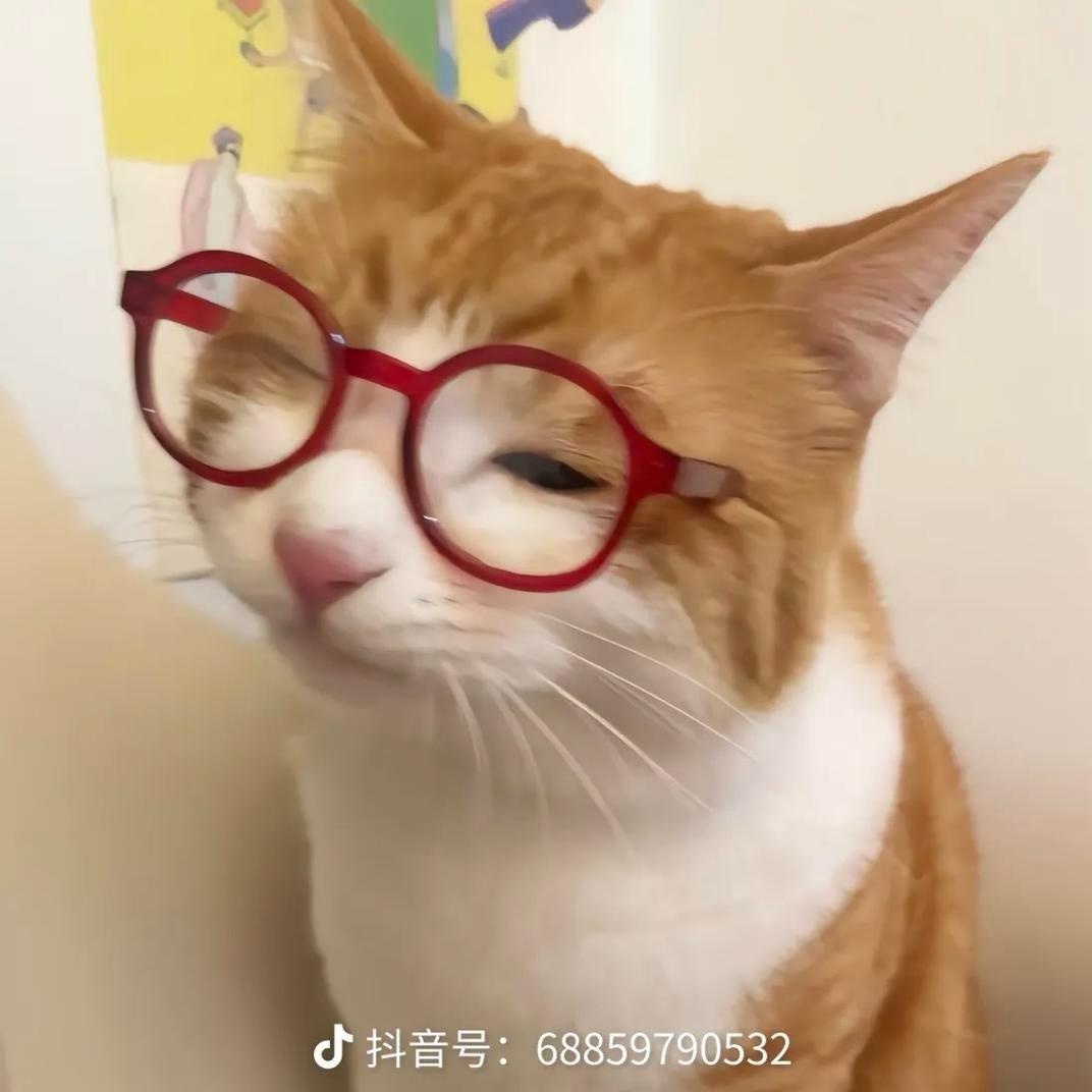 馒头.