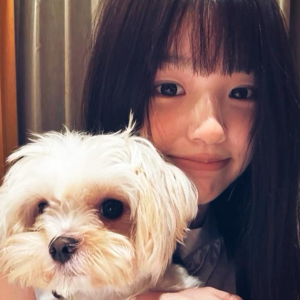 慧