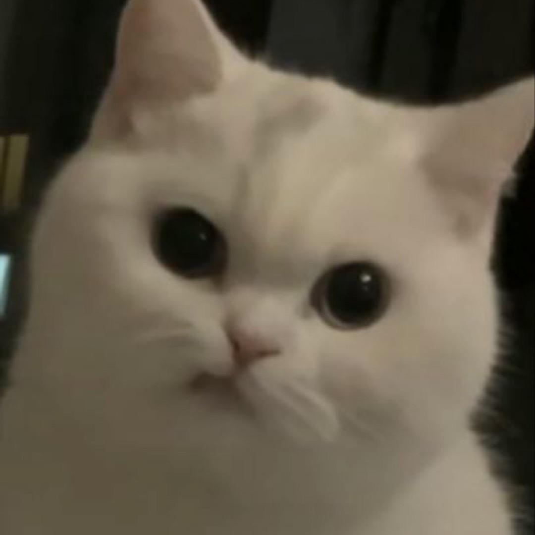 孙同学