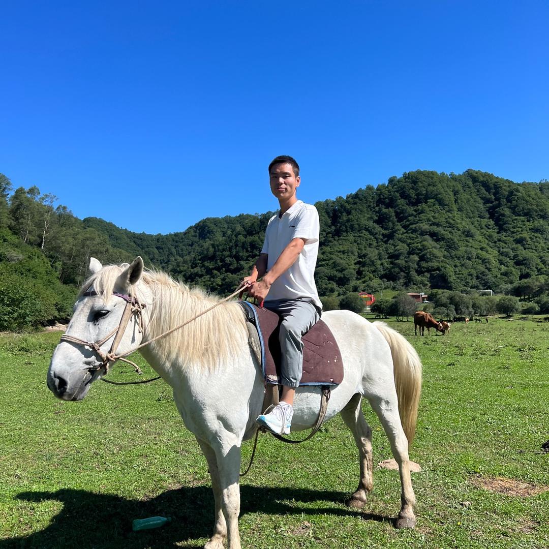 小杨总二手车批发