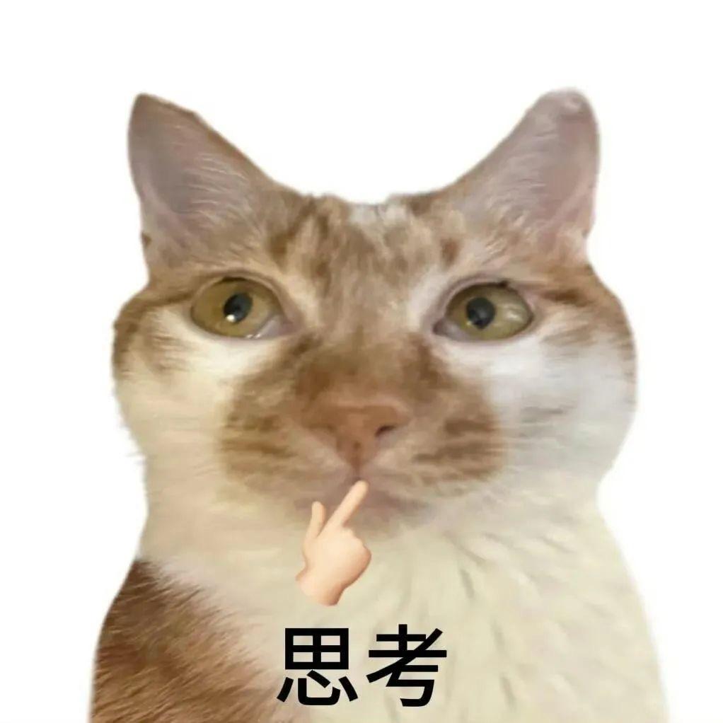 跑刀王子涛老师(三角洲行动)