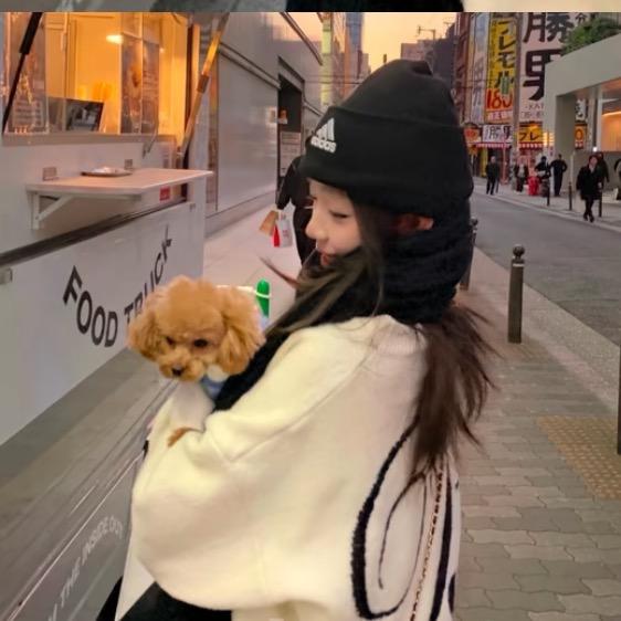 小海苔苔苔苔🐾