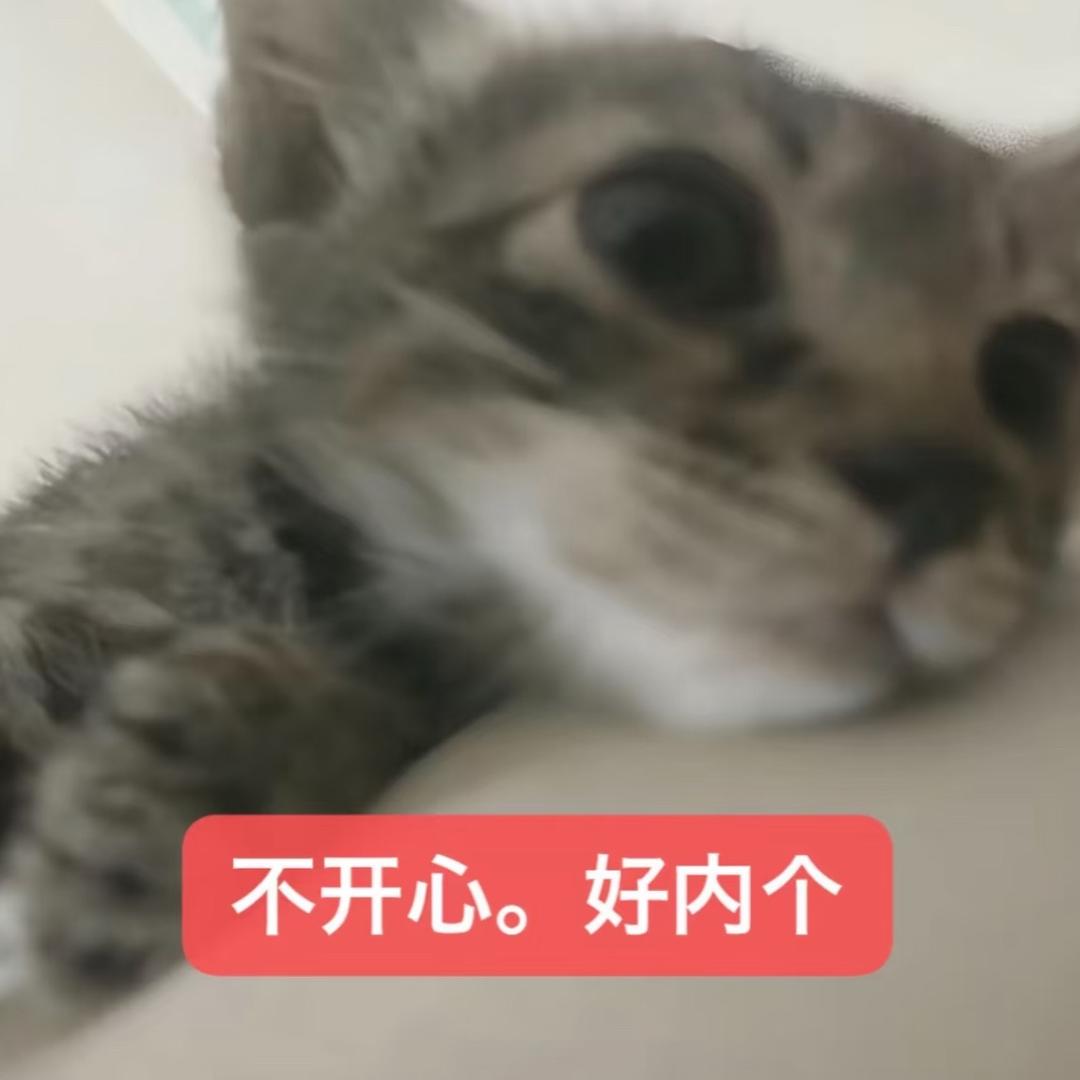 🍚依旧是一小碗
