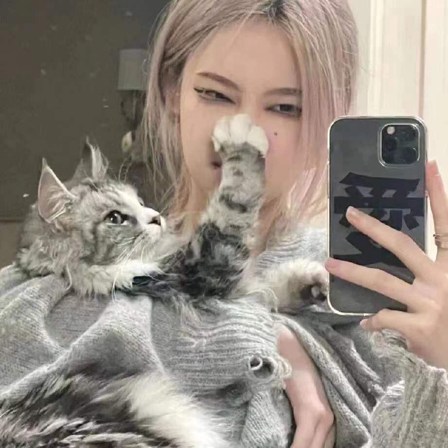 不笨.