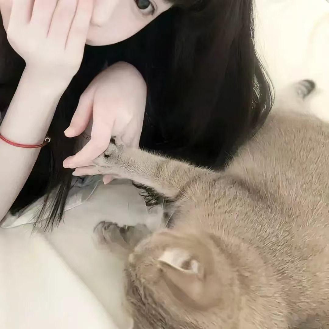 萌偶佳