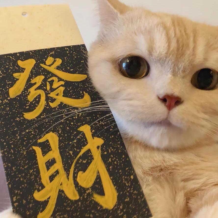杂货铺📻