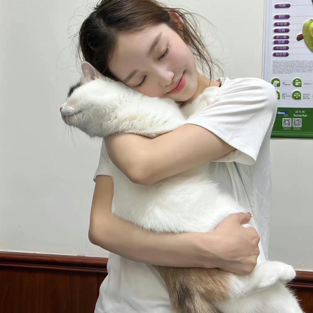 溏心蛋🫧