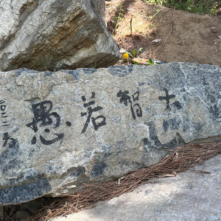 大甜梨