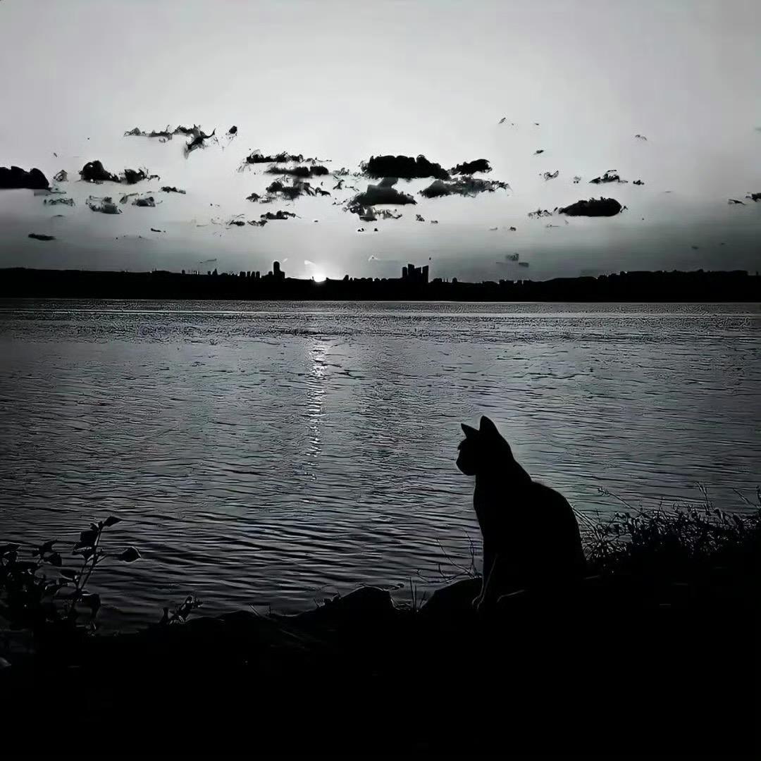 刺猬