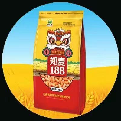 好庄稼种业 赵阳