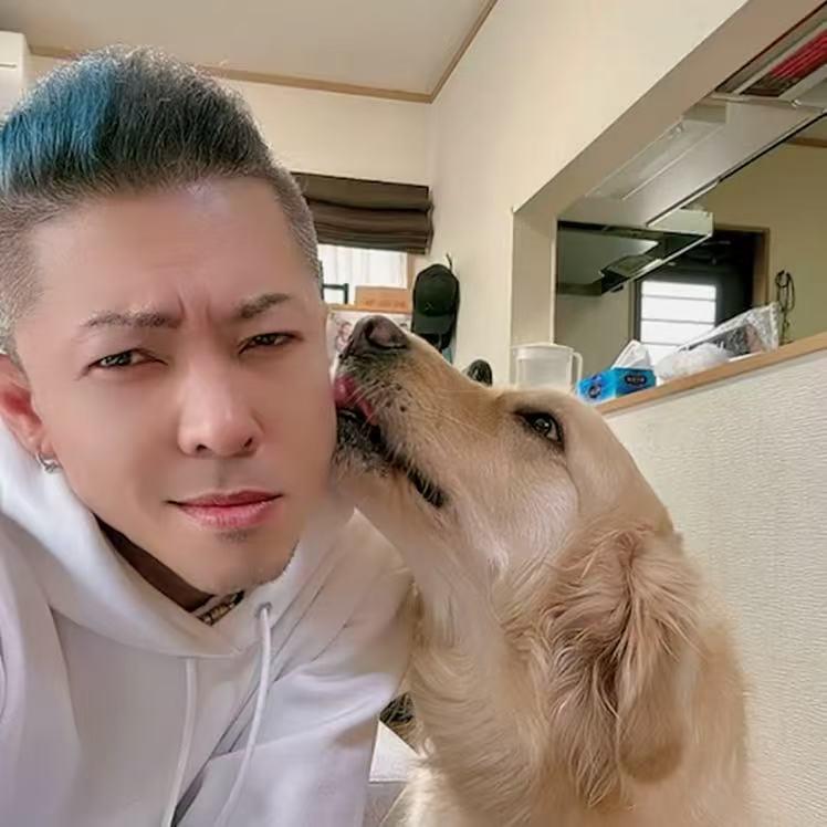 猴王的幸福生活