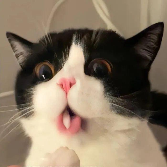 着不想