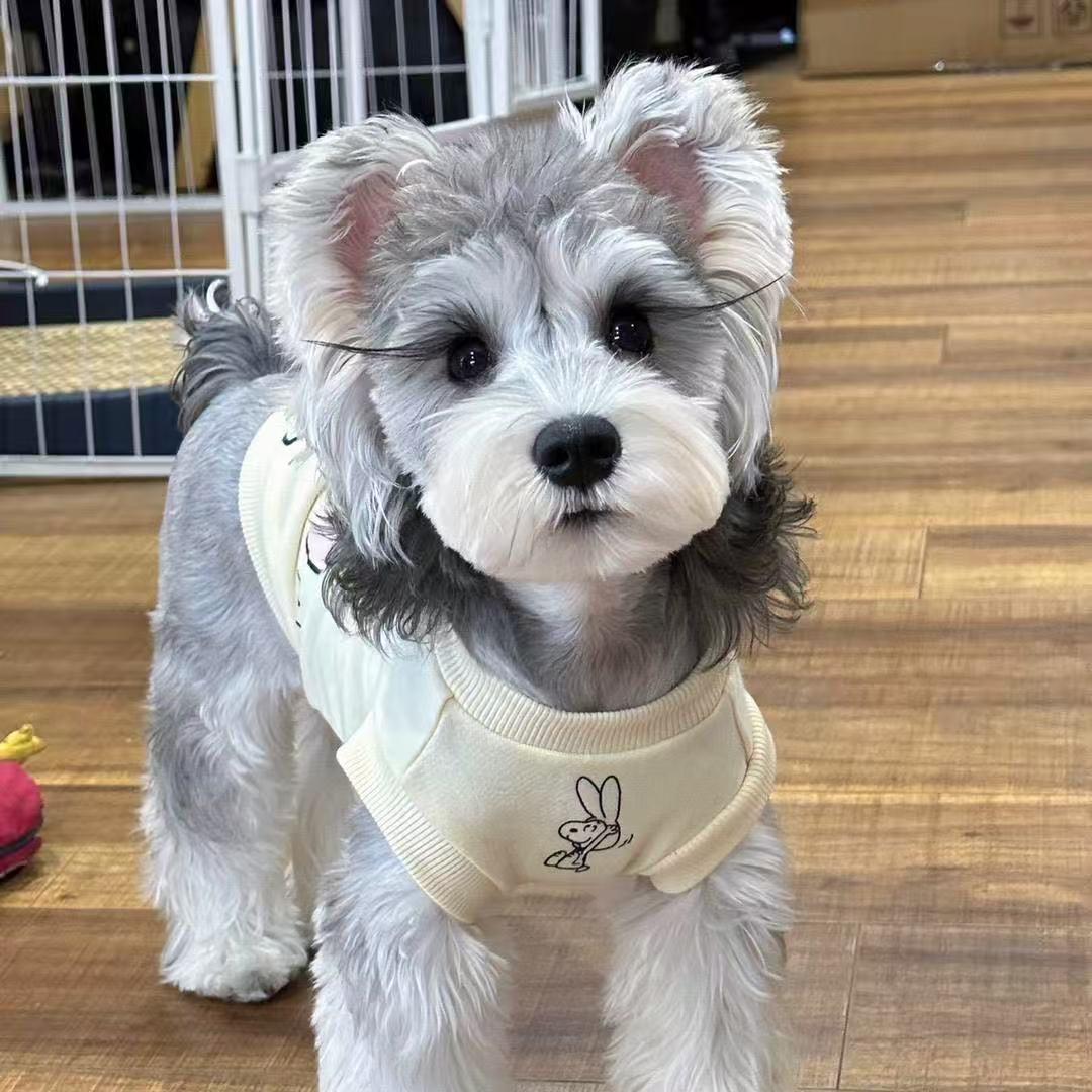 博美淘淘物客服