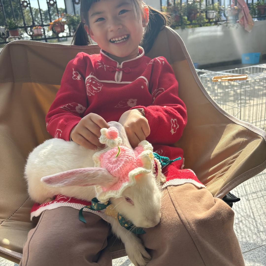 兔乖乖🐰和我的日常Vlog