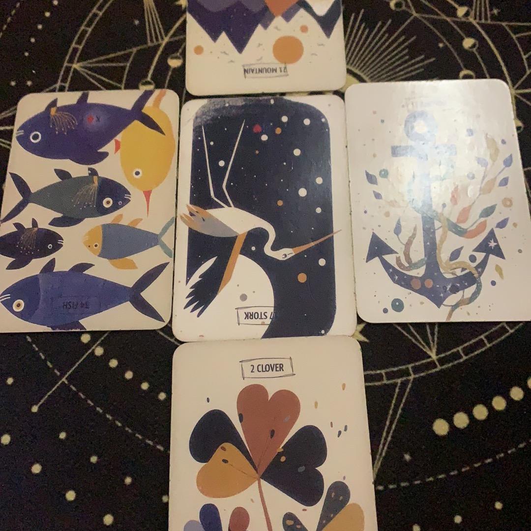 酒这（重生版）