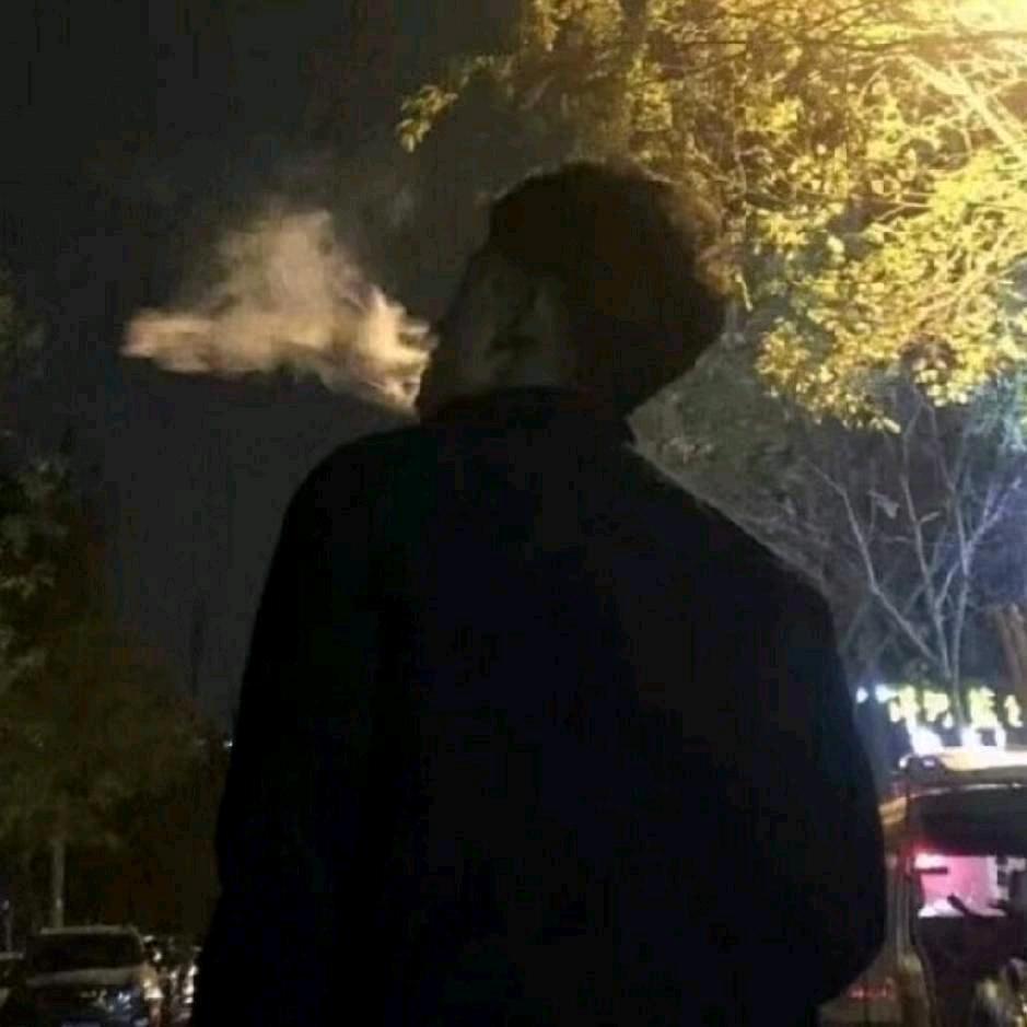 杨公子