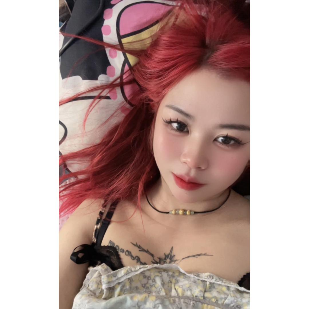 高原牛肉～八宝🐷