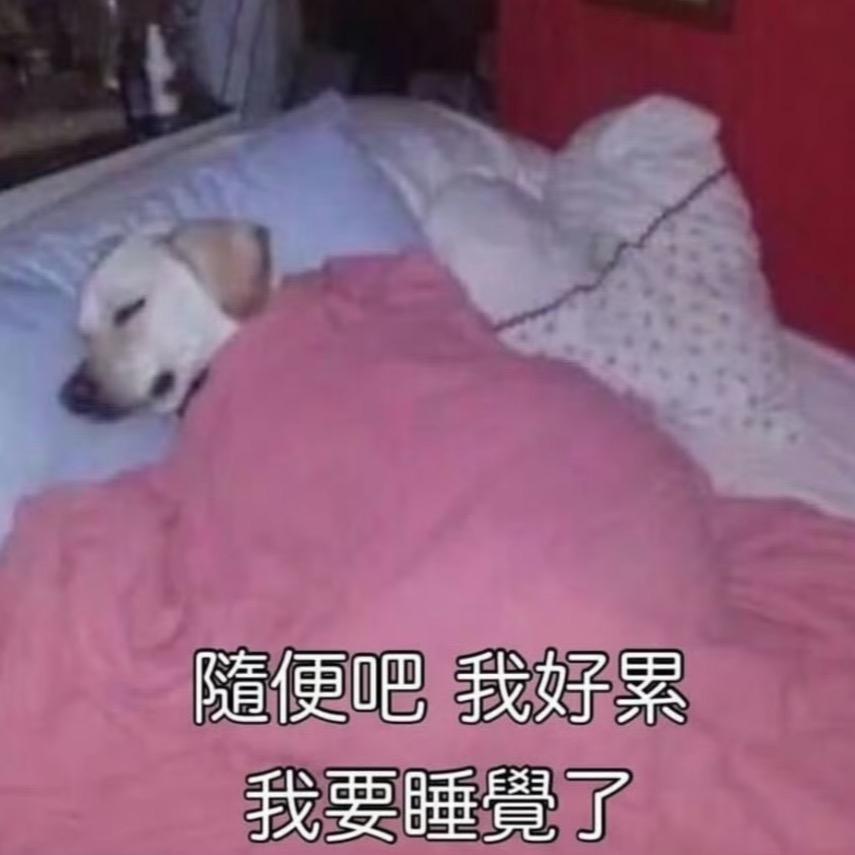 睡个好觉Zz