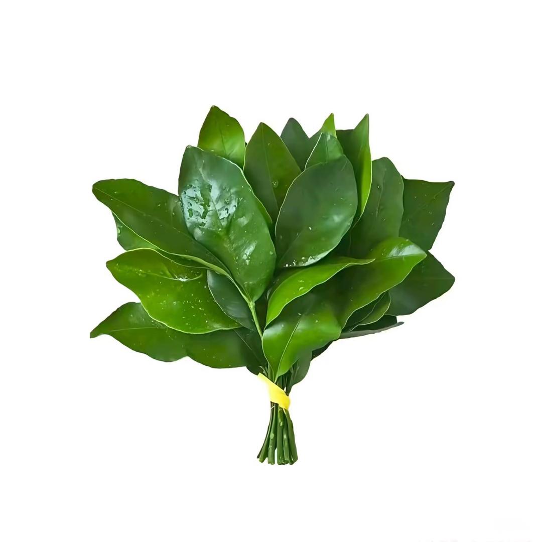 杀我别用感情刀.