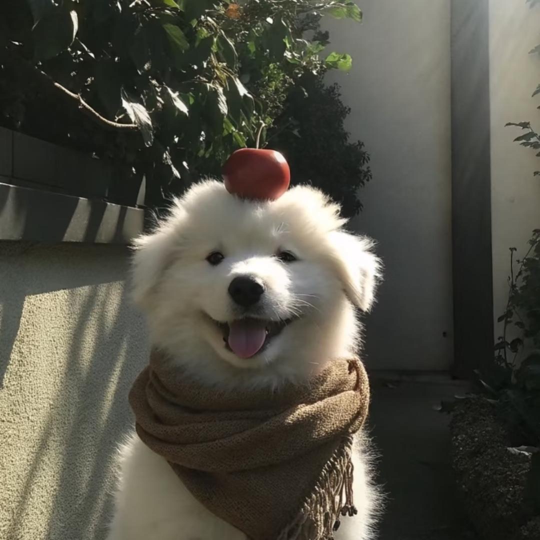 大屁股鸡