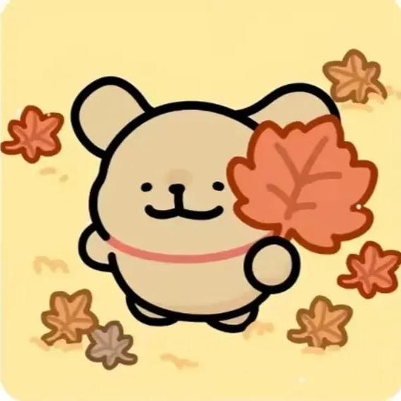 肥波不爱吃鱼