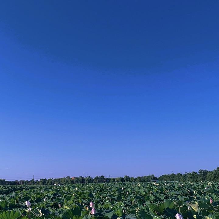 开心最重要