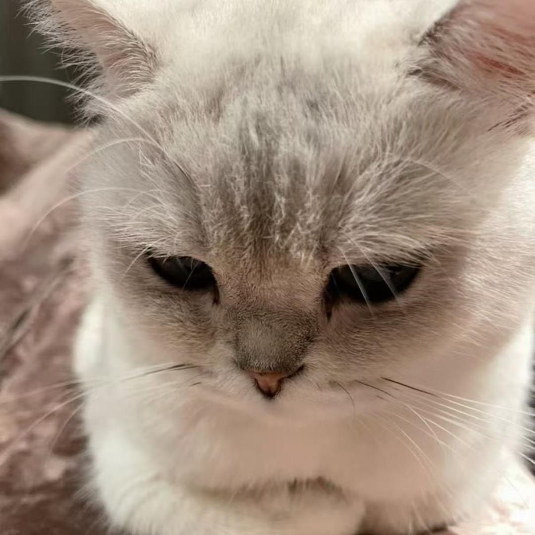 不吃酸汤鱼