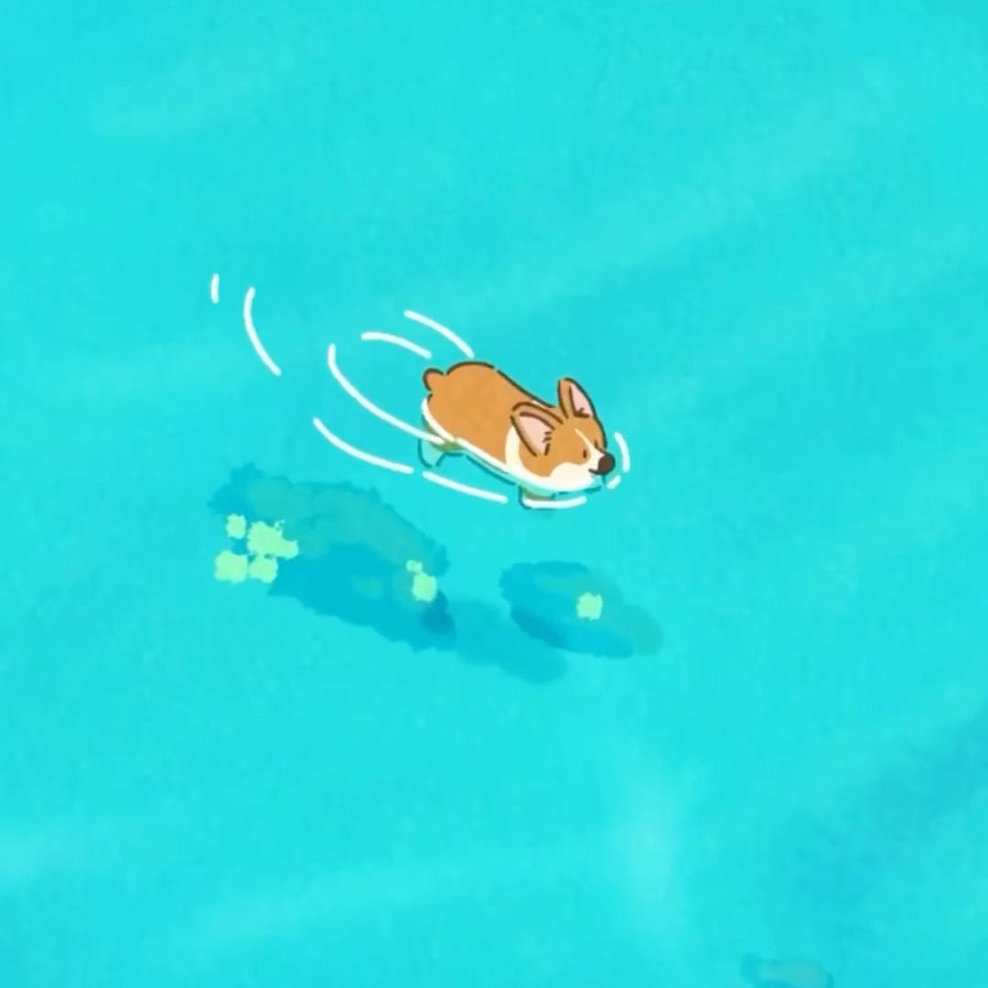 鲨鱼音