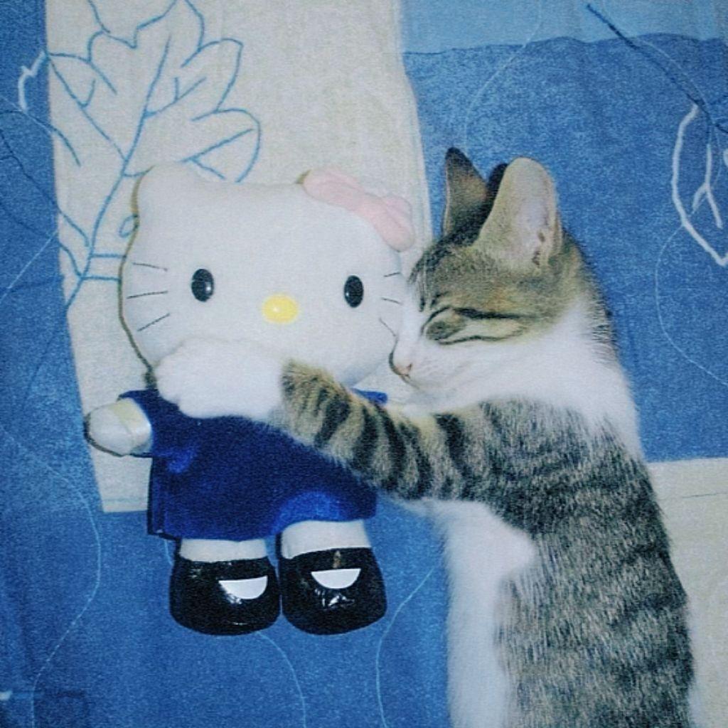 寂寞梧桐深院锁我