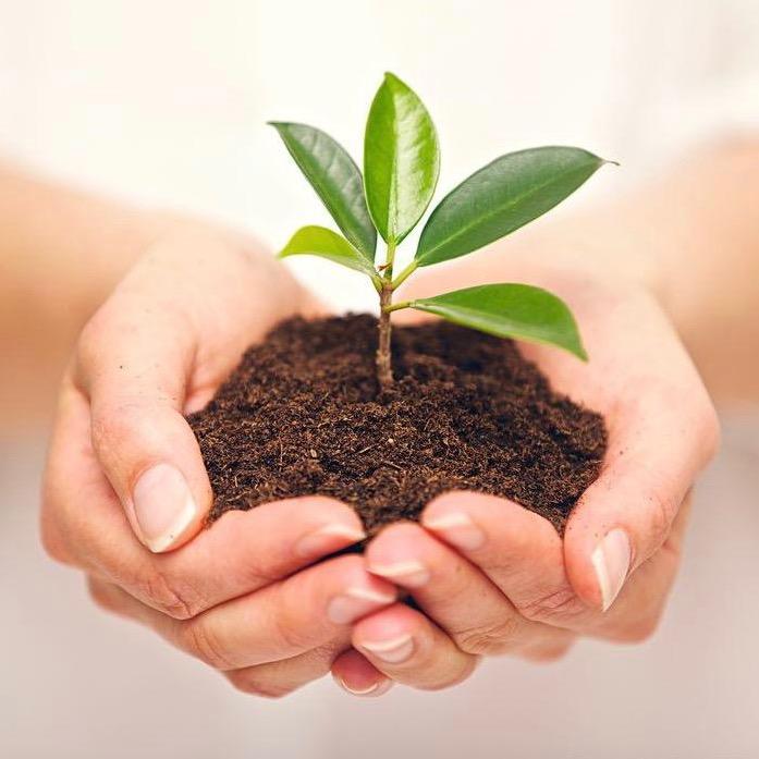 苗小苗-在云南@抖音