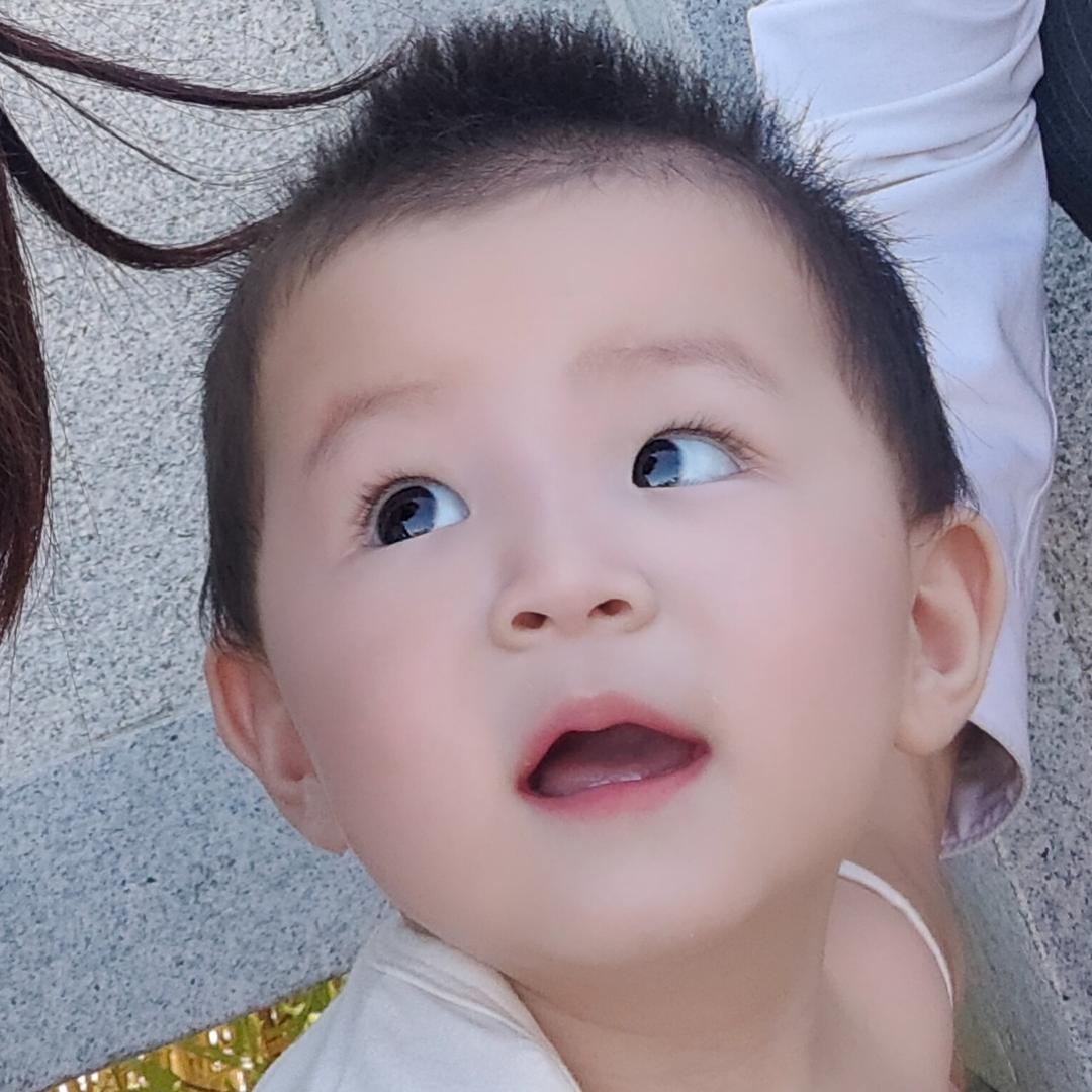 你好赵鹏