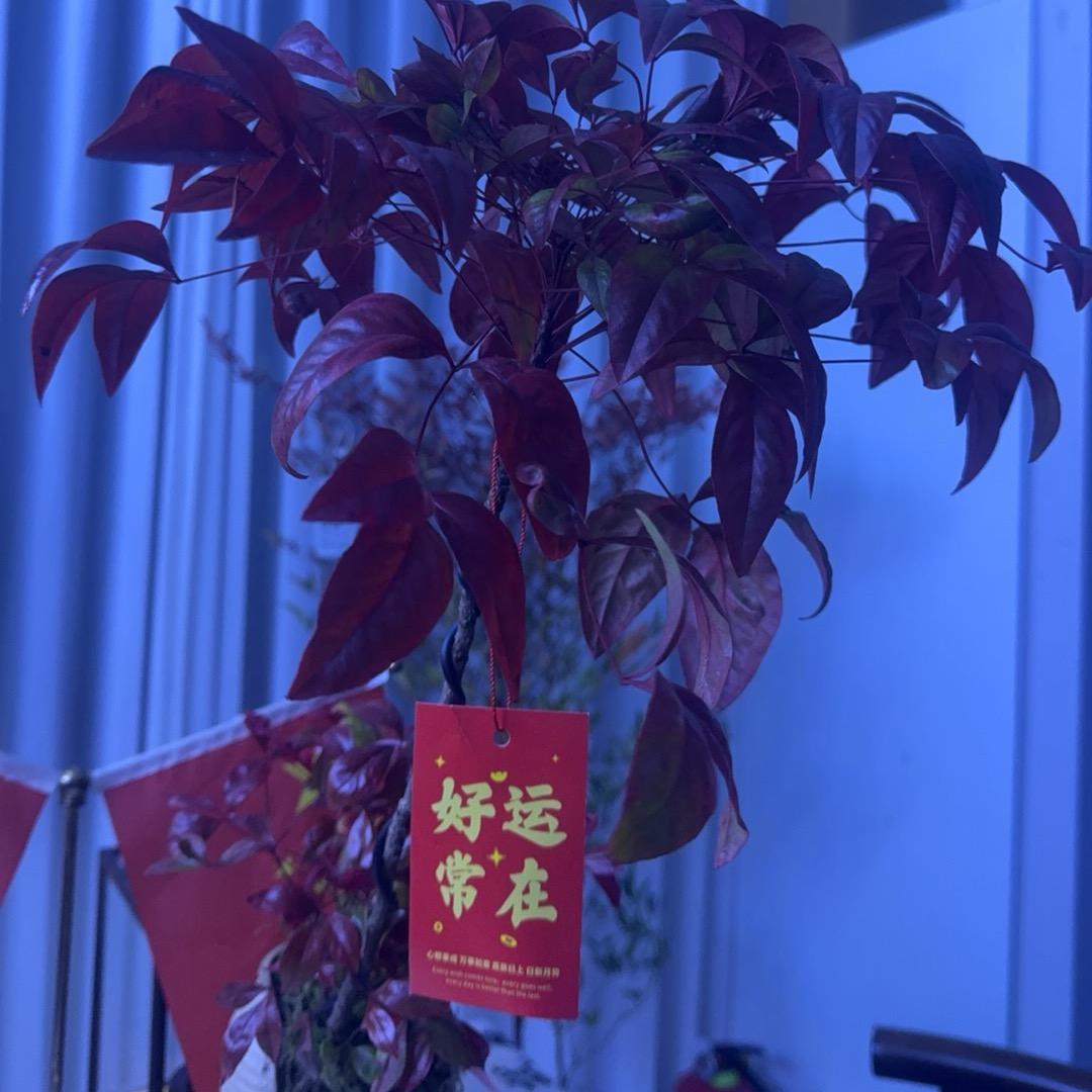 苏州推拿小馆